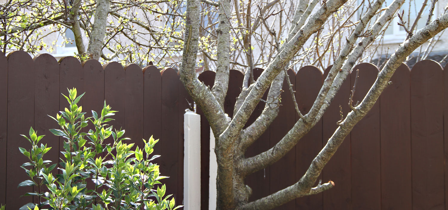 Round Panel Fence 2